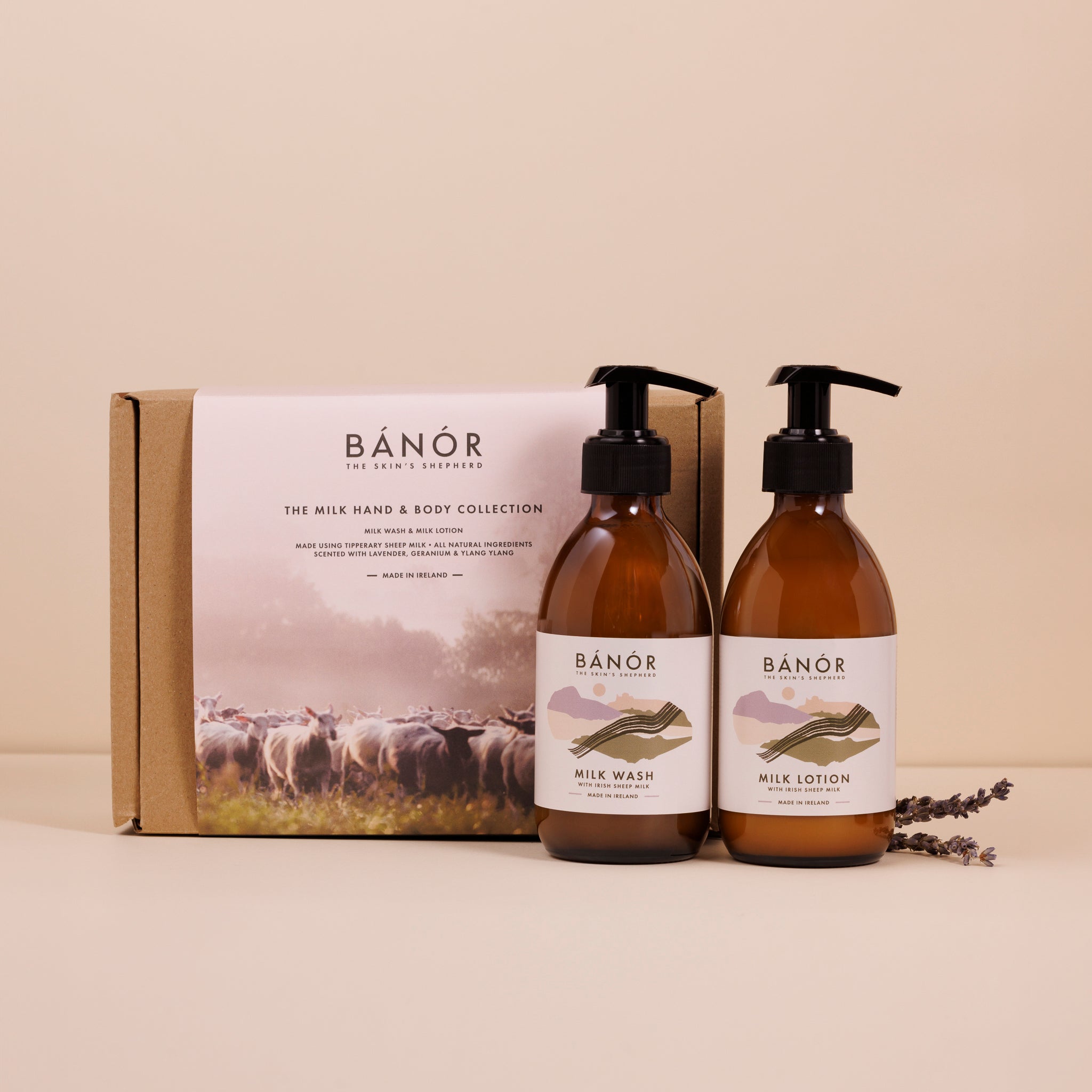 Hand & Body Milk Collection